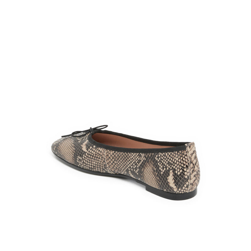 AELIS PYTHON - BALLERINE