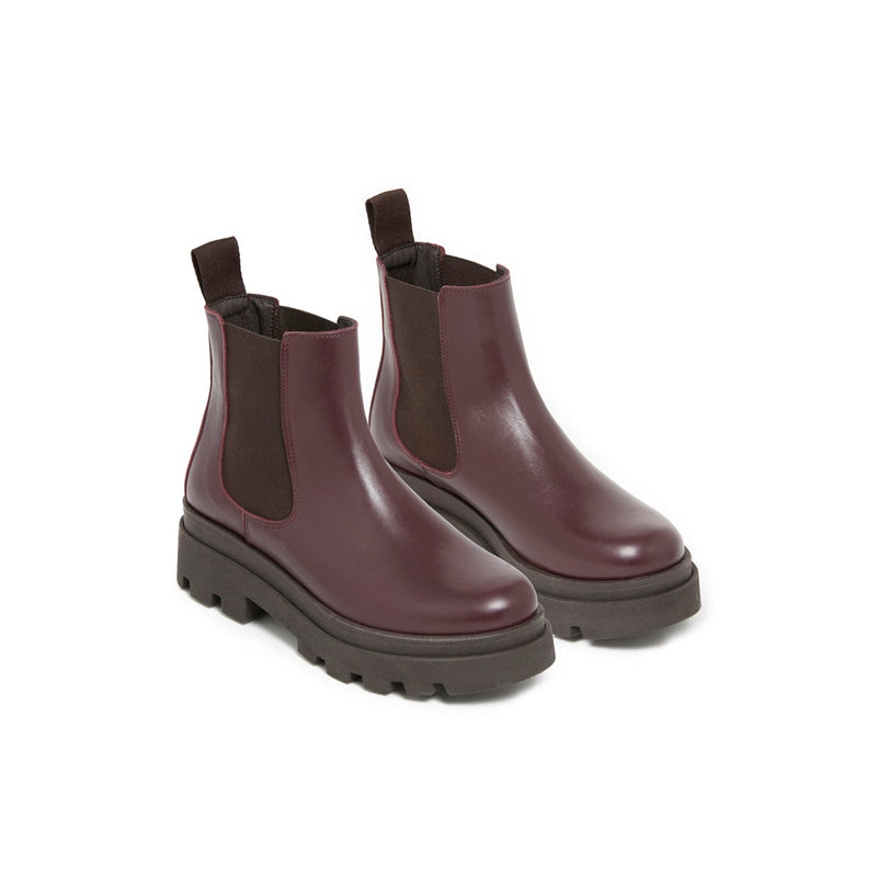 ALCALINA BORDEAUX - BOOTS