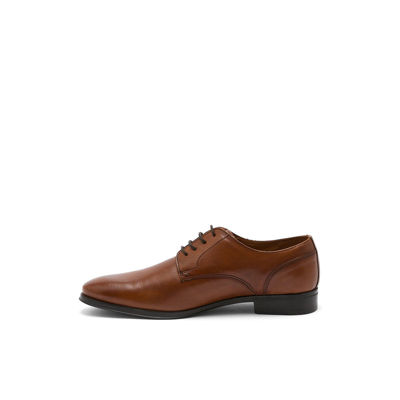 AMADOR COGNAC - DERBY
