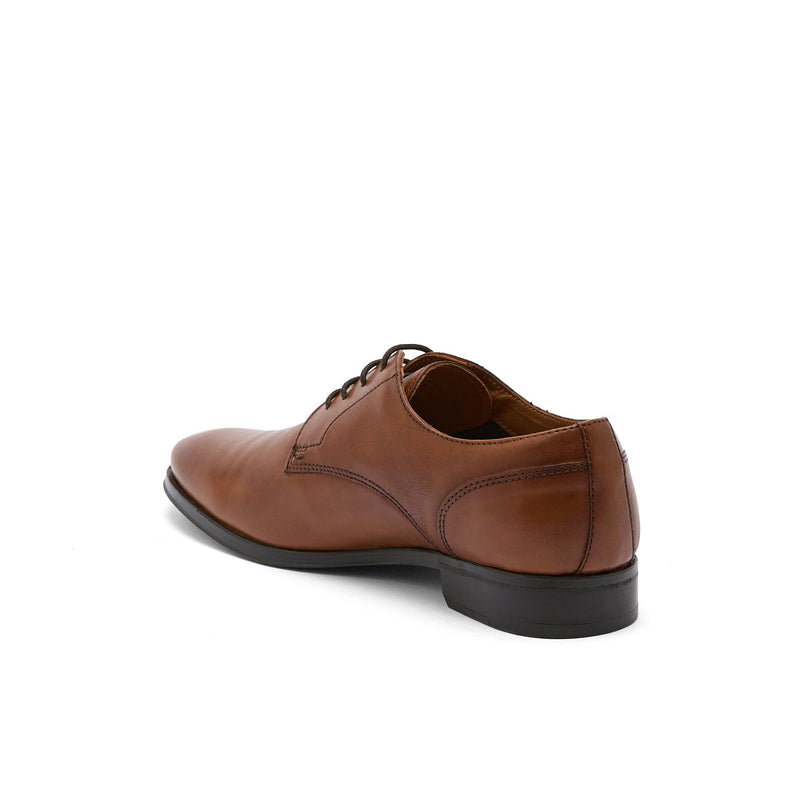 AMADOR COGNAC - DERBY