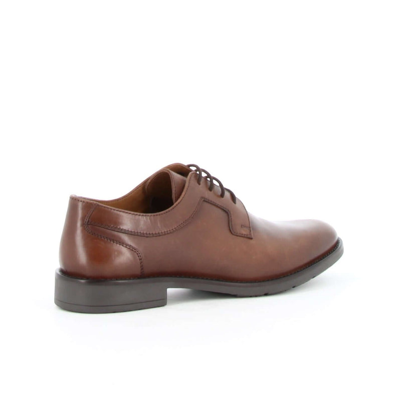 DERBY CERNY COGNAC - André