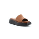 CHERRY CAMEL - MULE