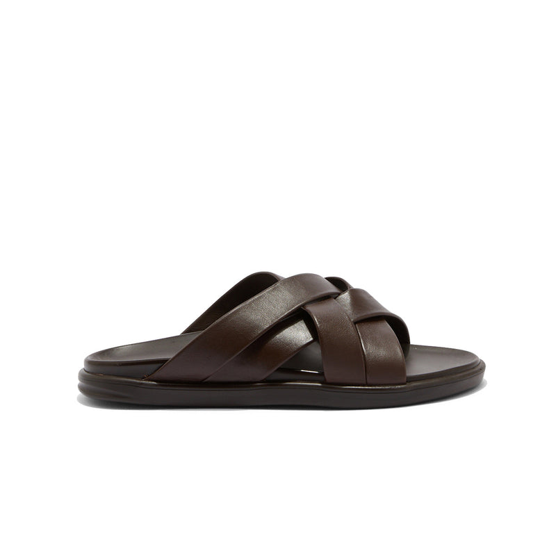 LORIEN MARRON - MULE