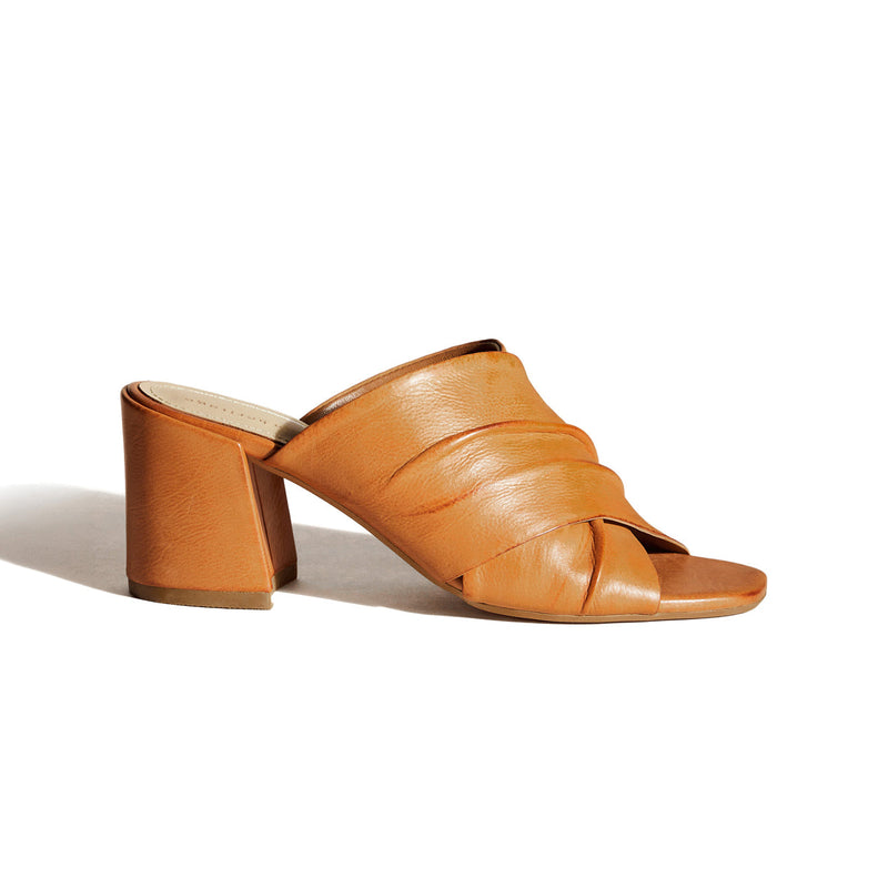 LYNAS CAMEL - MULE