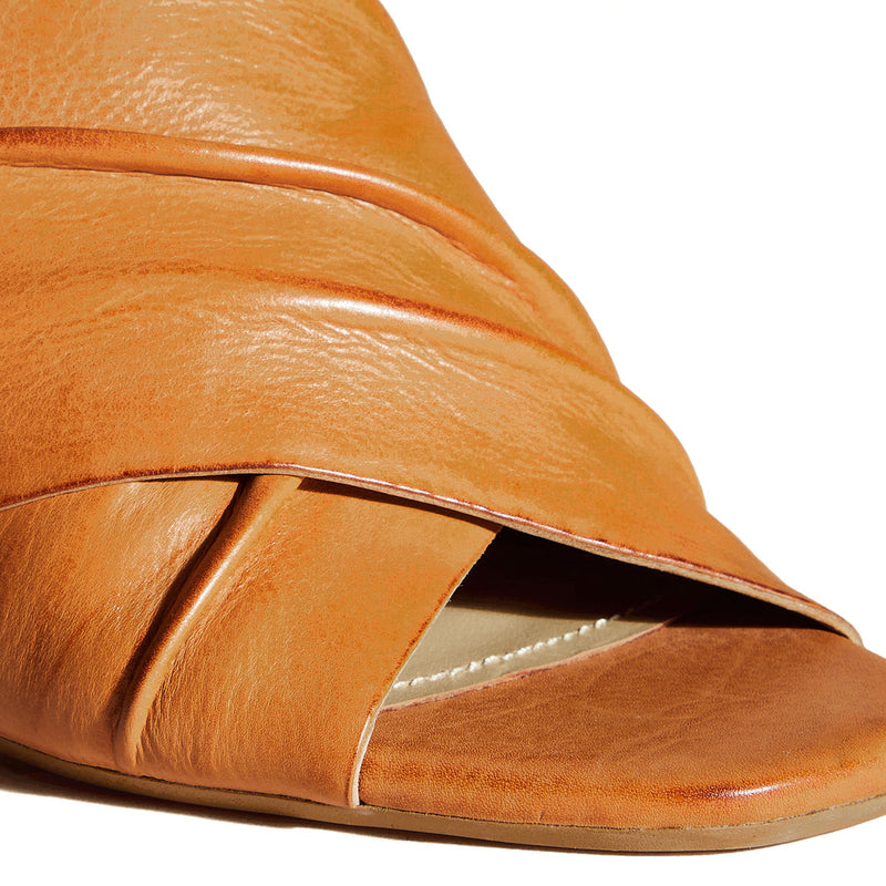 LYNAS CAMEL - MULE