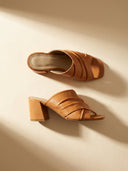 LYNAS CAMEL - MULE