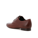 NINITO MARRON - DERBY