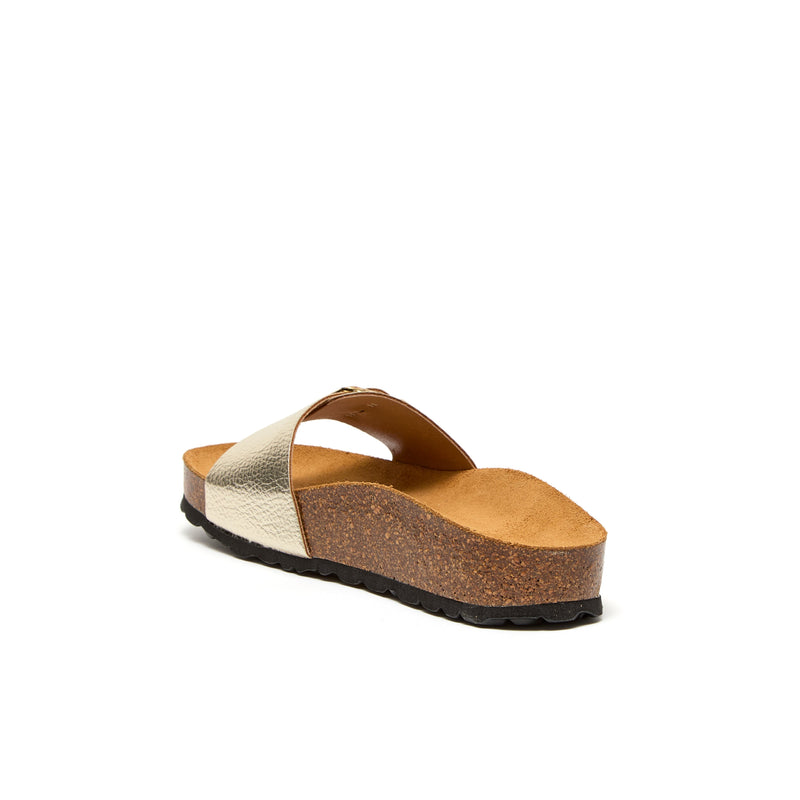 RAYDONIA OR - OR - DUP / 36 - MULE