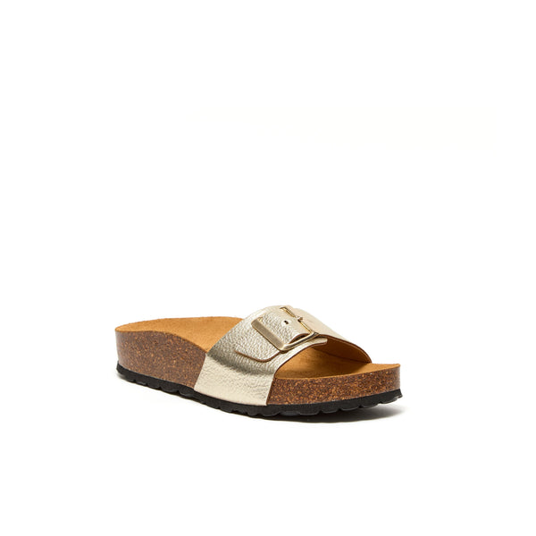 RAYDONIA OR - OR - DUP / 36 - MULE
