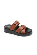 WALTRAUD CAMEL - MULE